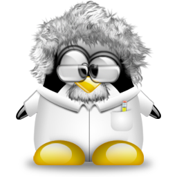 penguin pingouin pinguino 672